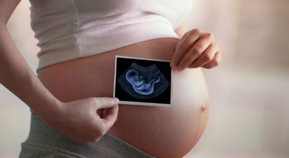 Ultrassom na gravidez: conheça os tipos e a importância deles